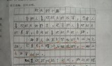 考试 小学生考试前心情作文300字