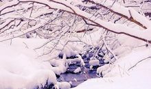 冬至作文指导，赶紧孩子安排上，还有精彩范文可参考