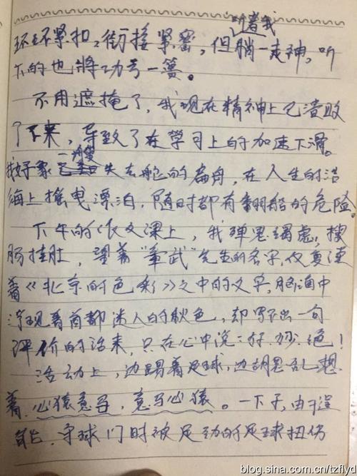 柳暗花明 高中生日记1500字