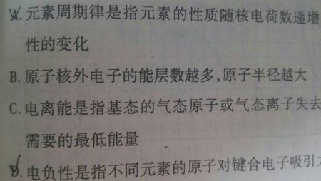 看“小小视角”有感 小学生观后感作文400字