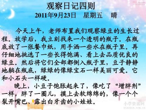 泡豆芽观察日记5篇