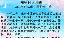 泡豆芽观察日记5篇