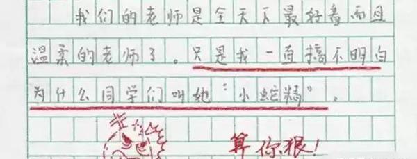 小学生作文《漂亮的老师》,老师面色铁青,家长笑抽:没毛病 2