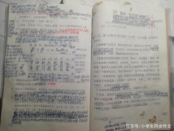 一个孩子写的作文《我和书的故事》,问题很多,看看怎样修改 4