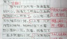 四年级写人作文：“魔术”之家_600字