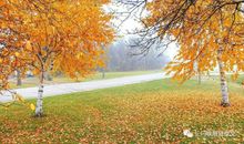 【作文素材】小学作文基本功训练: 怎么写关于日月星辰的作文