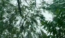 逆流成河（《汪洋中的一条船》读后感）