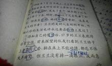 读《桑兰的故事》有感 初中生读后感作文300字