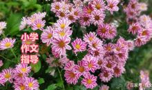 一对比，你就能明白心理描写在小学作文学习中的意义