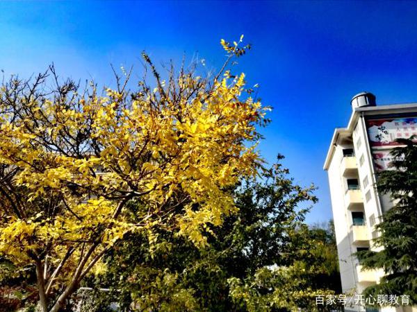 学生作文大赛获奖,先是被取消获奖,后道歉又不被原谅,成年人?