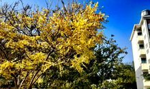 学生作文大赛获奖，先是被取消获奖，后道歉又不被原谅，成年人？