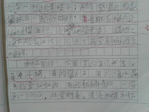 冬的舞步作文550字