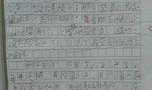 冬的舞步作文550字