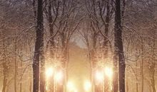 写景作文800字（三篇）：《日出》