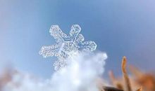 作文写得生动，不靠好词佳句堆砌，秘密全在这里！