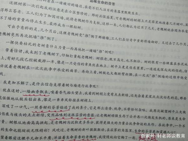作文总是得不了高分?原因可能在这里 4