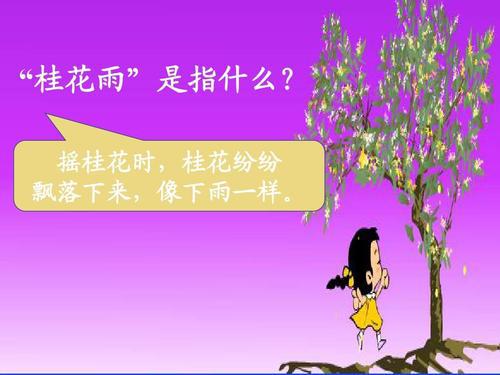 打下来的桂花雨-写桂花的作文
