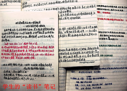 初二读书笔记：《顾城的诗》读书笔记_800字