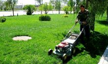 园林绿化工程施工与苗木养护办法论文