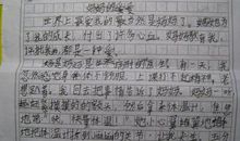 忙碌的周末 我的周末作文900字