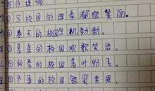 我的校园作文200字三篇