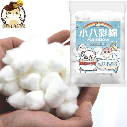 珍珠熊 我喜爱的小白鼠作文500字