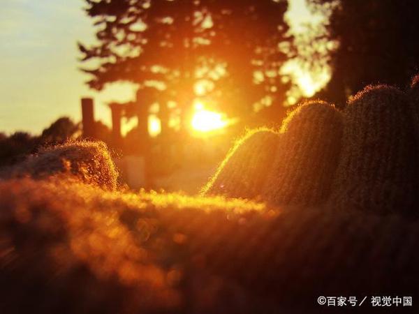 初中作文点评:《冰镇的温暖》,学会发现闪光点 1