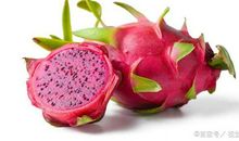 五年级五单元作文，介绍一种事物作文，火龙果说明文