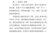 逛庙会初中作文600字