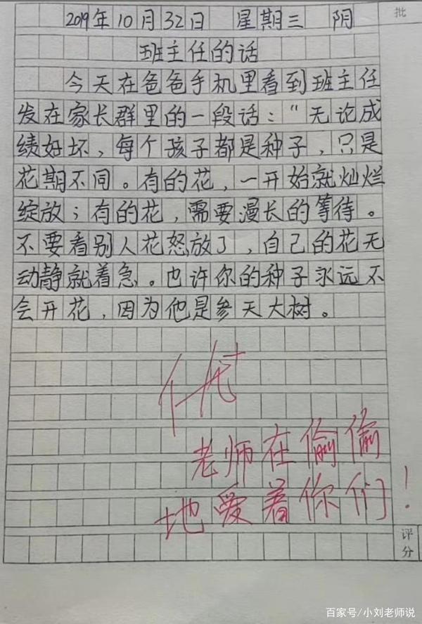 小学生作文太逗,把爸爸比作猪八戒,网友笑疼肚子,老师:天才