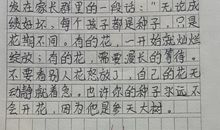小学生作文太逗，把爸爸比作猪八戒，网友笑疼肚子，老师：天才
