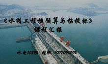 水利工程招投标的特点与策略的论文