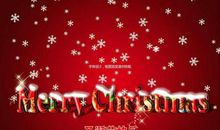 圣诞节愿望的作文300字