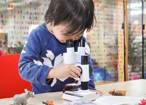 小学生满分作文走红网络，奇特的想象力超越地球人，老师甘拜下风 2