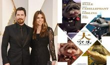 电影大空头观后感