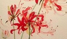 高三写人作文：彼岸花_1200字