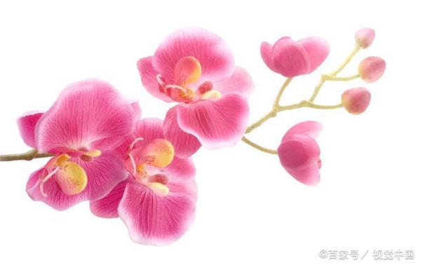 初中作文点评:《出发》,以诗歌的语言,刻画了三幅唯美的画面