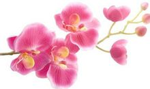 初中作文点评：《出发》，以诗歌的语言，刻画了三幅唯美的画面