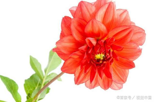 初中作文点评:《出发》,以诗歌的语言,刻画了三幅唯美的画面 1