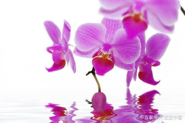 初中作文点评:《出发》,以诗歌的语言,刻画了三幅唯美的画面 2