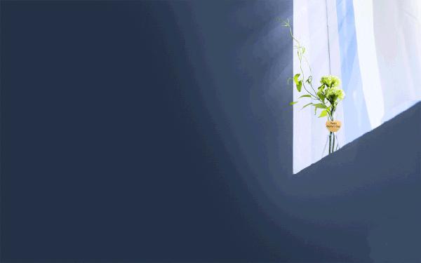 原创学生作文：《读后感》 1