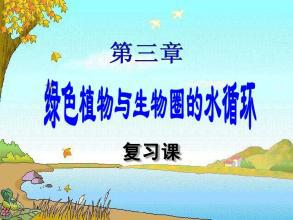 对生物复习课的反思