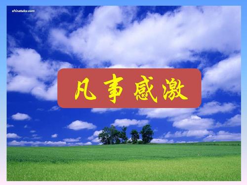 凡事感激 高一作文500字