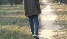 岳母大人的散文