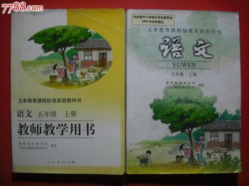 小学语文书的世界教案