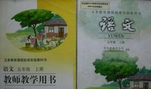 小学语文书的世界教案