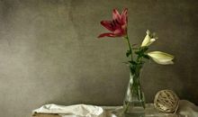 赞赏， 一种力量 读《欣赏是一种善良》有感500字