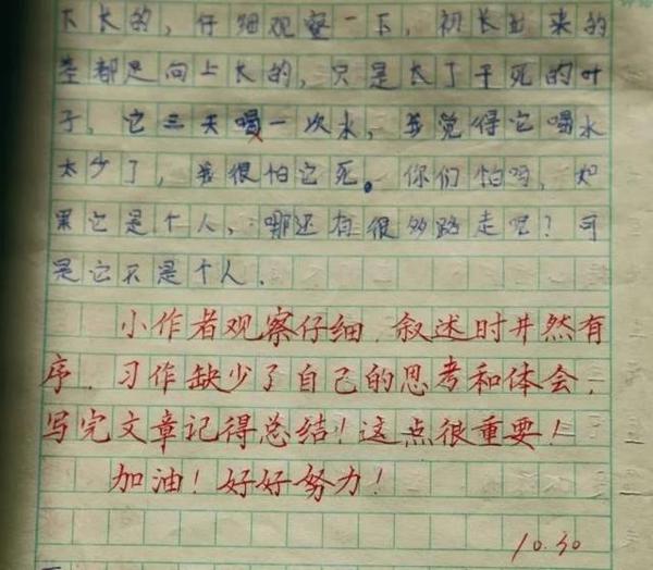 代课女老师批改作文写评语,字写得真好看 3