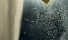 初中生优秀作文：心灵的痕迹