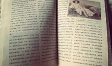 初二读书笔记：《泰戈尔诗集》读书笔记_1500字